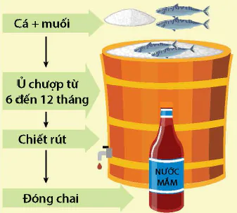 hinh-anh-bai-22-bao-quan-va-che-bien-san-pham-thuy-san-12290-8