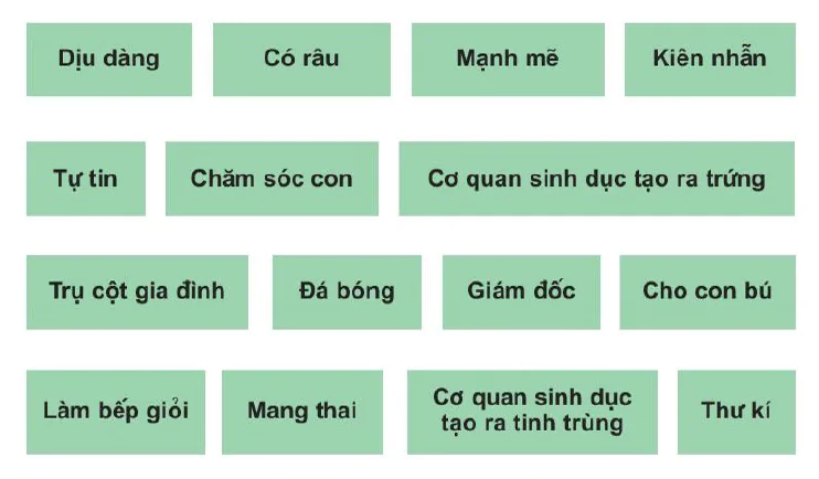 hinh-anh-bai-2-3-nam-hay-nu-1400-2