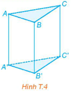 hinh-anh-hoat-dong-thuc-hanh-trai-nghiem-hinh-hoc-3605-4