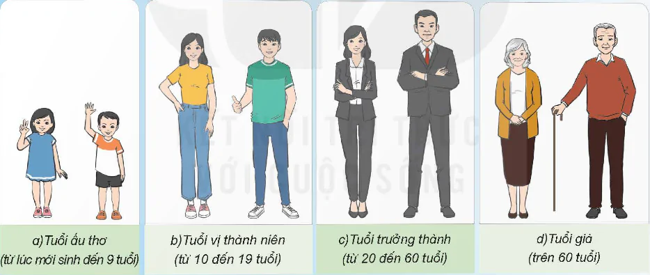 hinh-anh-bai-23-cac-giai-doan-phat-trien-chinh-cua-con-nguoi-8536-0