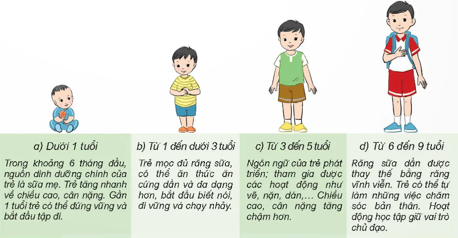 hinh-anh-bai-23-cac-giai-doan-phat-trien-chinh-cua-con-nguoi-8536-1