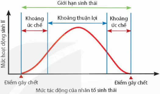 hinh-anh-bai-23-moi-truong-va-cac-nhan-to-sinh-thai-13055-6