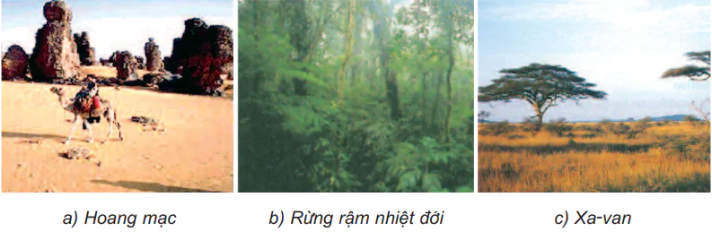 hinh-anh-bai-23-chau-phi-471-1