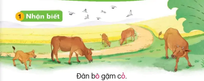 hinh-anh-bai-6-o-o-106-0