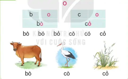 hinh-anh-bai-6-o-o-106-1