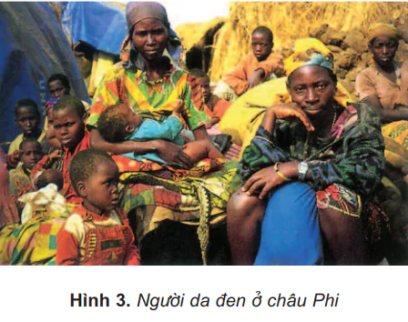 hinh-anh-bai-24-chau-phi-tiep-theo-473-0