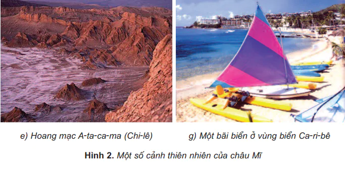 hinh-anh-bai-25-chau-mi-475-2