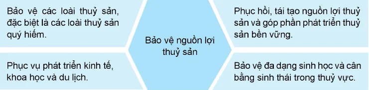 hinh-anh-bai-26-bao-ve-nguon-loi-thuy-san-12309-2