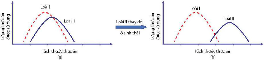 hinh-anh-bai-26-quan-xa-sinh-vat-13059-12