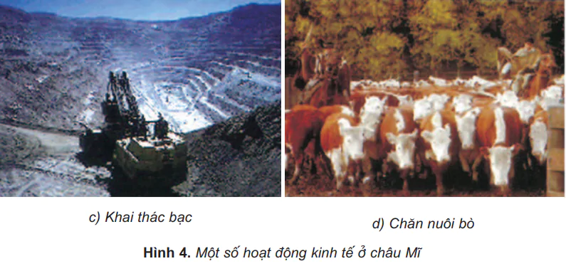 hinh-anh-bai-26-chau-mi-tiep-theo-477-2