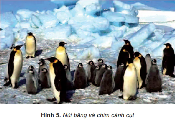 hinh-anh-bai-27-chau-dai-duong-va-chau-nam-cuc-481-3