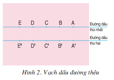 hinh-anh-bai-2-theu-dau-nhan-1797-1