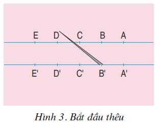 hinh-anh-bai-2-theu-dau-nhan-1797-2