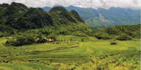 hinh-anh-bai-2-cac-hoat-dong-lam-nghiep-co-ban-va-nguyen-nhan-chu-yeu-lam-suy-thoai-tai-nguyen-rung-12188-3