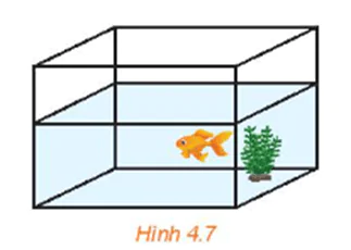 hinh-anh-bai-10-duong-thang-va-mat-phang-trong-khong-gian-3562-6