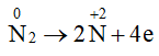 hinh-anh-bai-4-nitrogen-3677-2