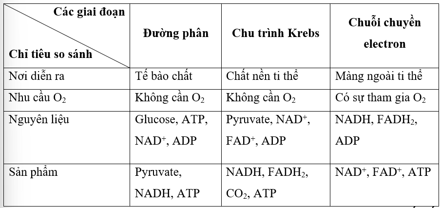 hinh-anh-bai-14-phan-giai-va-tong-hop-cac-chat-trong-te-bao-3725-2