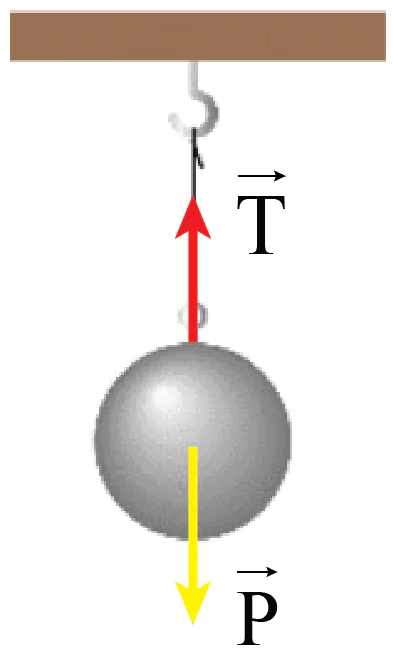 hinh-anh-bai-14-dinh-luat-1-newton-3795-2