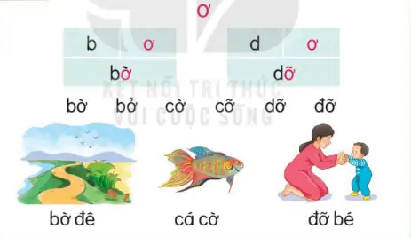 hinh-anh-bai-9-o-o-109-1