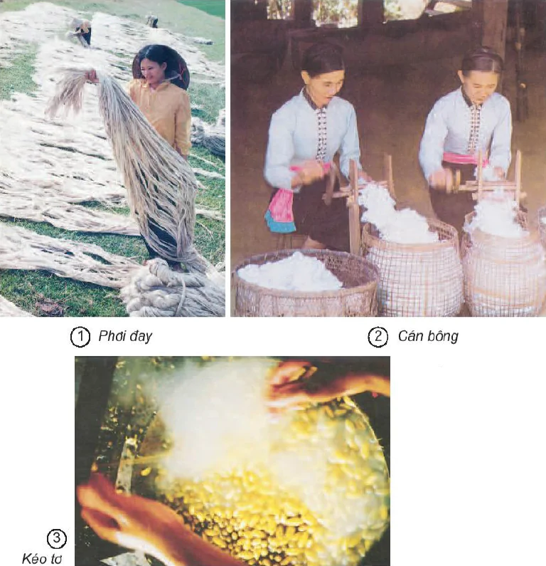 hinh-anh-bai-32-to-soi-1519-0