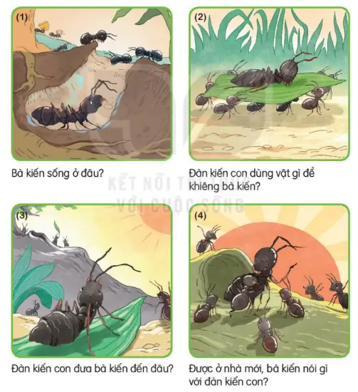 hinh-anh-bai-10-on-tap-va-ke-chuyen-110-1