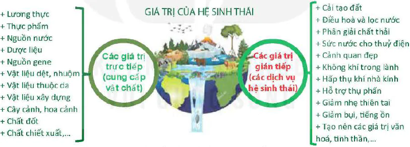 hinh-anh-bai-33-sinh-thai-hoc-phuc-hoi-va-bao-ton-da-dang-sinh-vat-13087-1