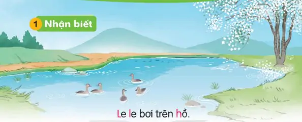 hinh-anh-bai-12-h-h-l-l-112-0