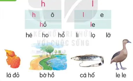 hinh-anh-bai-12-h-h-l-l-112-1