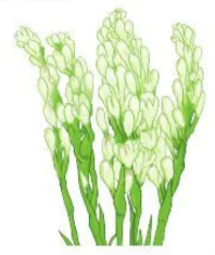 hinh-anh-bai-114-ue-uo-1251-0