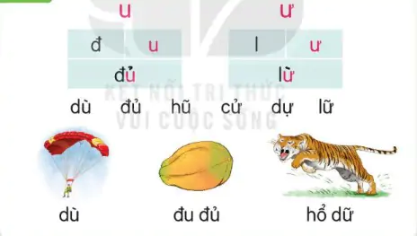 hinh-anh-bai-13-u-u-u-u-113-1