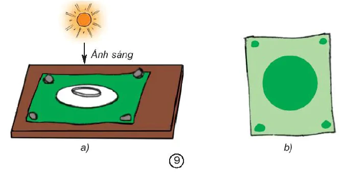 hinh-anh-bai-38-39-su-bien-doi-hoa-hoc-1524-3