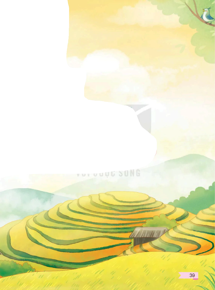 hinh-anh-chu-de-6-ve-mien-dan-ca-1784-5