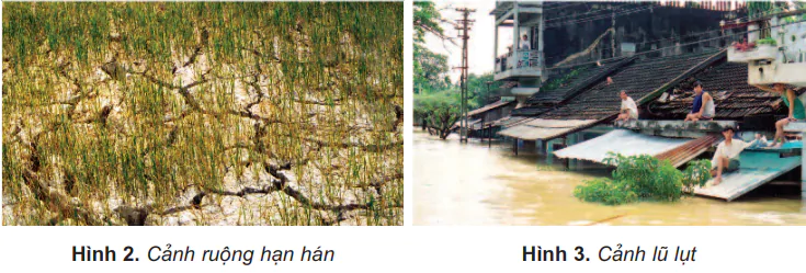hinh-anh-bai-3-khi-hau-397-1