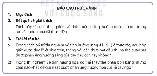 hinh-anh-bai-16-thuc-hanh-cam-ung-o-thuc-vat-3658-1