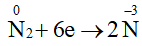 hinh-anh-bai-4-nitrogen-3677-3