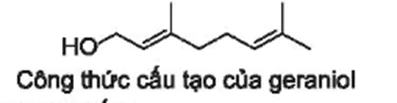 hinh-anh-bai-22-on-tap-chuong-5-3702-3
