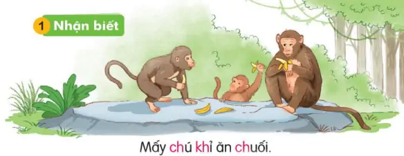hinh-anh-bai-14-ch-ch-kh-kh-114-0