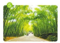 hinh-anh-bai-115-uy-uya-1252-6