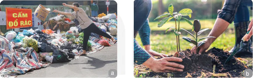 hinh-anh-bai-4-mot-so-van-de-ve-vi-pham-phap-luat-bao-ve-moi-truong-13284-0