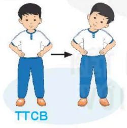 hinh-anh-bai-1-van-dong-cua-dau-co-1940-4