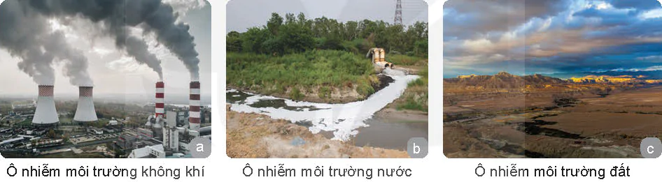 hinh-anh-bai-4-mot-so-van-de-ve-vi-pham-phap-luat-bao-ve-moi-truong-13284-1