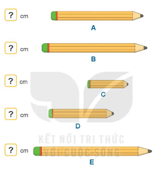 hinh-anh-bai-28-luyen-tap-chung-336-10