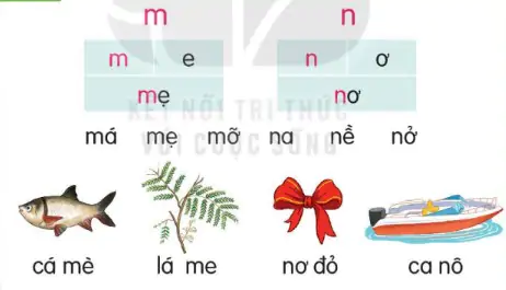 hinh-anh-bai-16-m-m-n-n-116-1