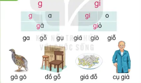 hinh-anh-bai-17-g-g-gi-gi-117-1
