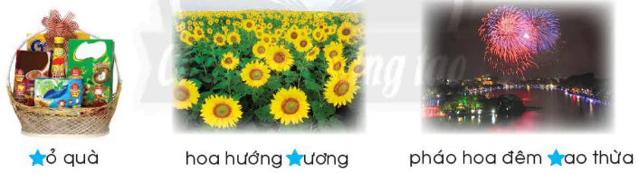 hinh-anh-bai-2-cho-hoa-ngay-tet-o-ha-noi-833-2