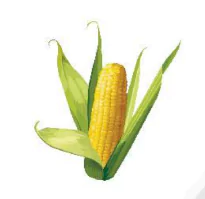 hinh-anh-bai-4-ng-ngh-418-6
