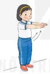 hinh-anh-bai-2-van-dong-cua-tay-1946-13