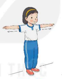 hinh-anh-bai-2-van-dong-cua-tay-1946-14