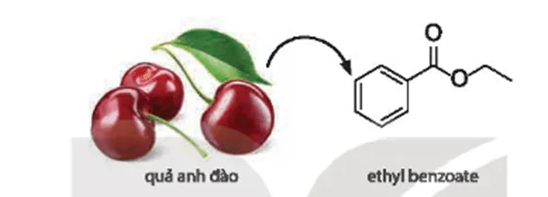 hinh-anh-bai-25-on-tap-chuong-6-3706-4
