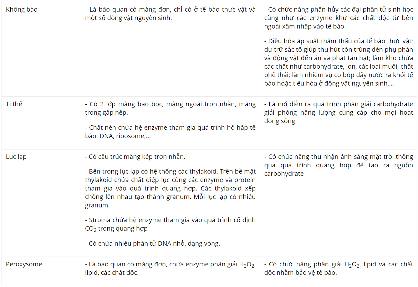 hinh-anh-bai-8-te-bao-nhan-thuc-3719-4